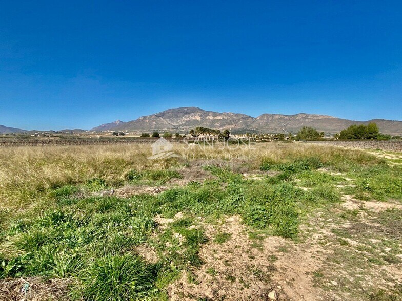 Land in Aspe, Alicante for sale - Aerial - Image 3 of 6