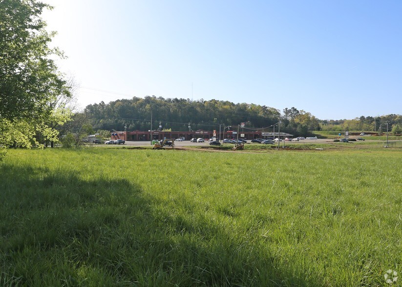 Hwy 78 & Magnolia St, Lincoln, AL for sale - Primary Photo - Image 2 of 4