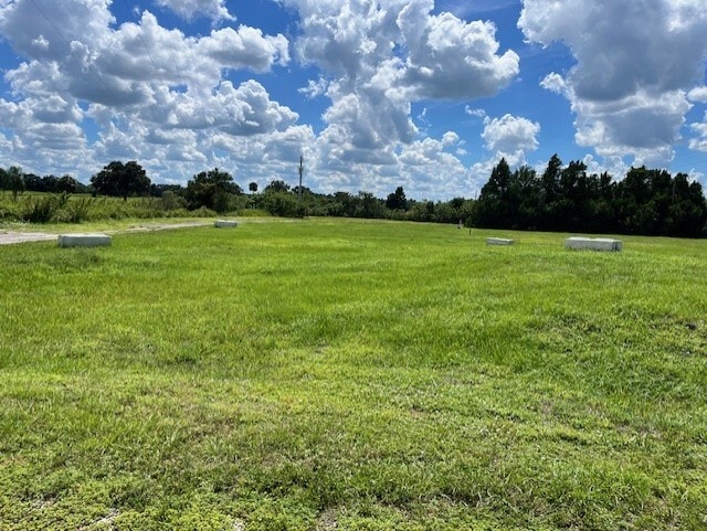 7891 US Highway 17 S, Zolfo Springs, FL for sale - Building Photo - Image 3 of 19