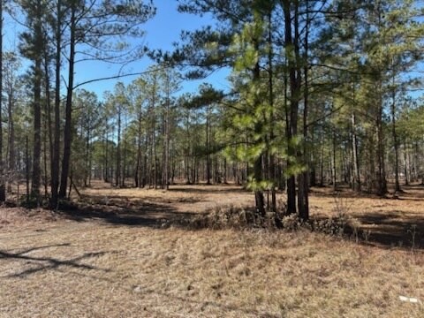 North Fraser St, Georgetown, SC à vendre - Plan d’étage - Image 2 de 4