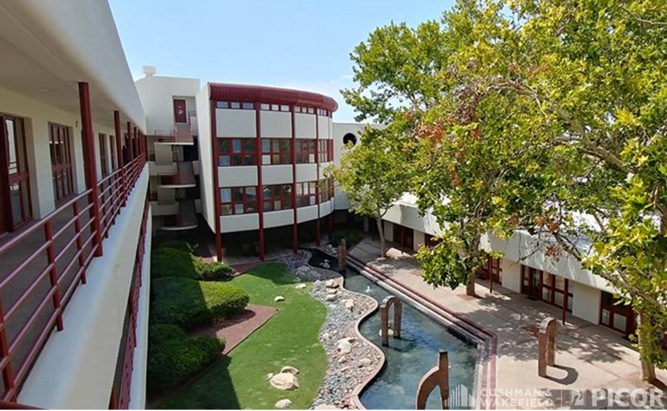 310 S Williams Blvd, Tucson, AZ à louer - Photo du bâtiment - Image 2 de 3