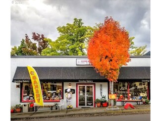 Plus de détails pour 236 N Main St, Myrtle Creek, OR - Vente au détail à vendre