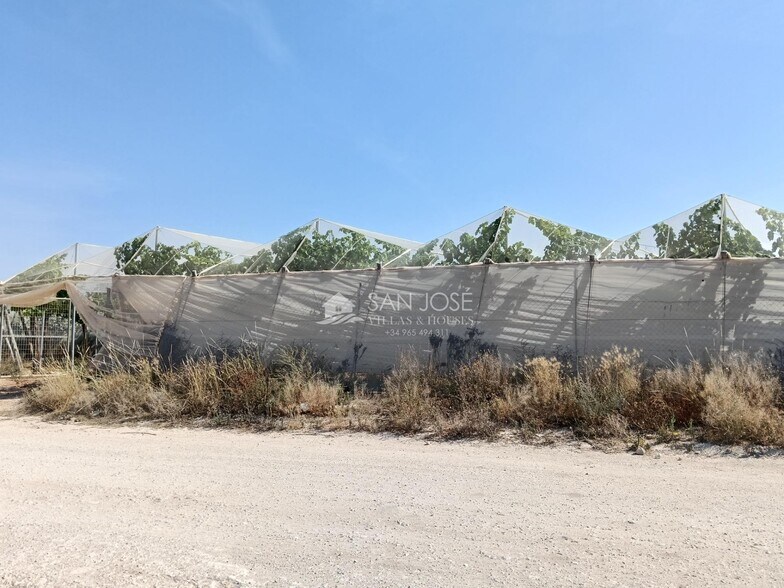 Land in La Romana, Alicante for sale - Building Photo - Image 2 of 6