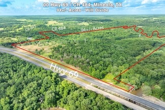 More details for 00 Hwy 69/CR 484 hwy, Mineola, TX - Land for Sale