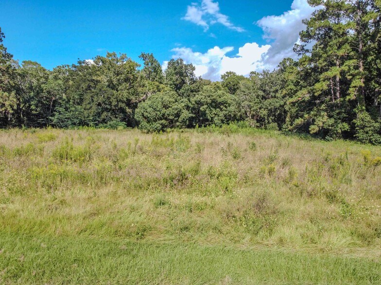 3305 Highway 17, Green Cove Springs, FL à vendre - Aérien - Image 3 de 7