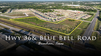 Plus de détails pour HWY 36 & Blue Bell Road, Brenham, TX - Terrain à vendre