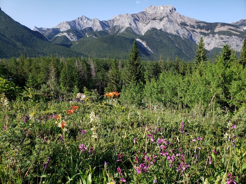 Heart Mountain Dr, Exshaw, AB à vendre - Autre - Image 3 de 4