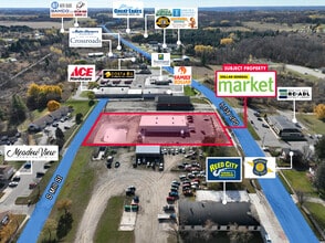 830 S Chestnut St, Reed City, MI - AERIAL  map view - Image1