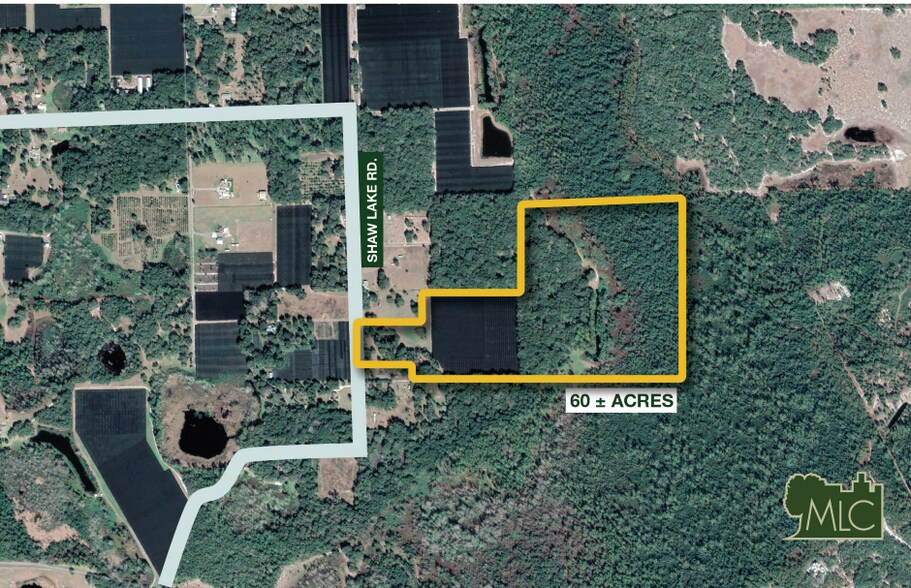 701-735 Shaw Lake Road, Pierson, FL for sale - Primary Photo - Image 1 of 4