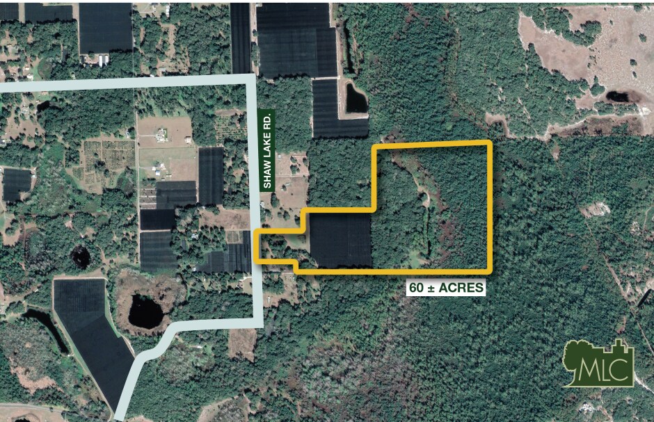 701-735 Shaw Lake Road, Pierson, FL for sale Primary Photo- Image 1 of 5