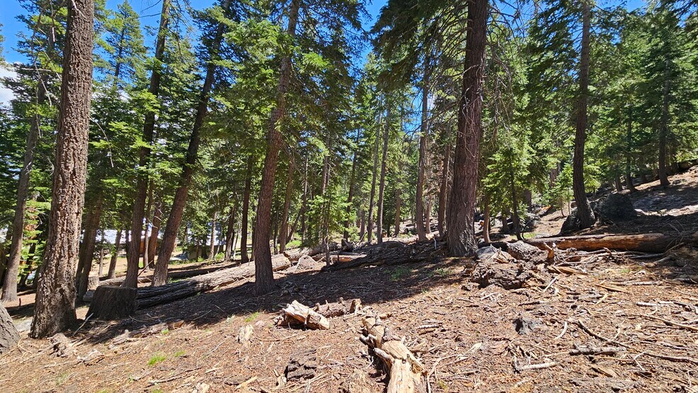 83-241 Lost Lane, Mammoth Lakes, CA à vendre - Autre - Image 2 de 15