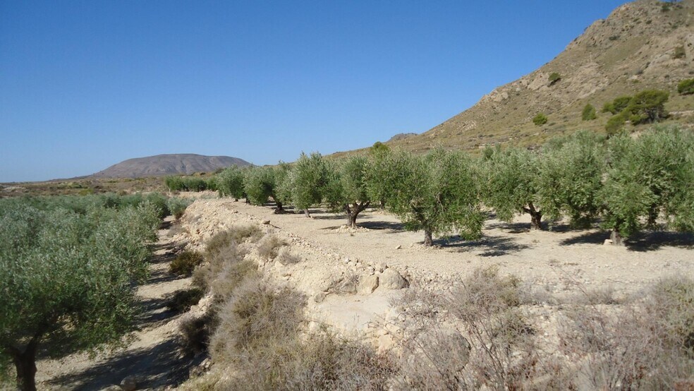 Terrain dans Abanilla, Murcia à vendre - Photo principale - Image 2 de 18