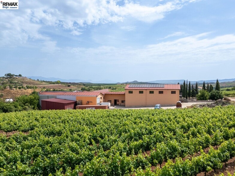 Carretera de Badaran, 36, Cordovín, La Rioja for sale - Primary Photo - Image 1 of 50