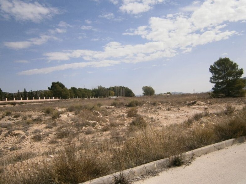 Land in Salinas, Alicante for sale - Aerial - Image 3 of 6