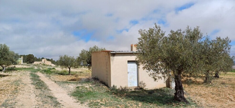Land in Yecla, Murcia for sale - Primary Photo - Image 3 of 7