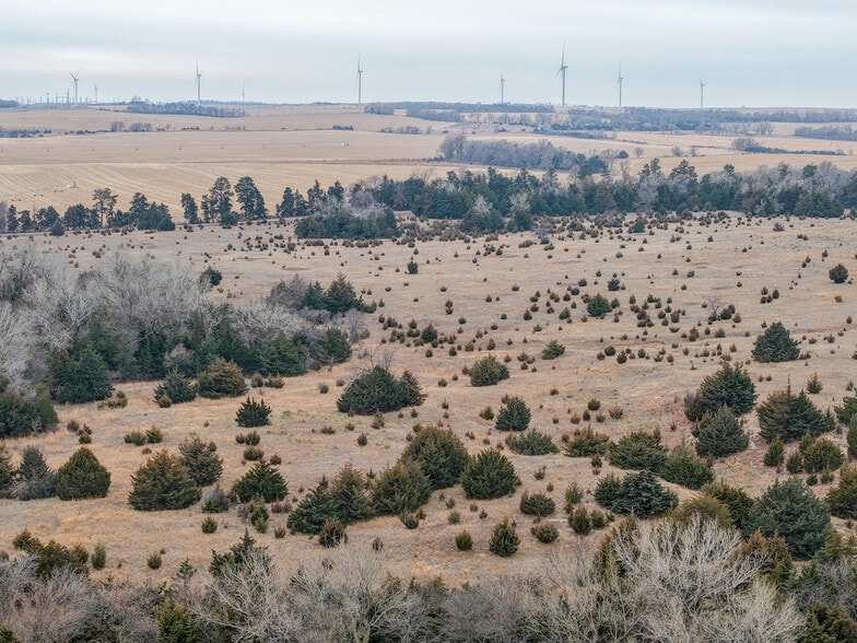 529th Avenue, Neligh, NE for sale - Building Photo - Image 3 of 6