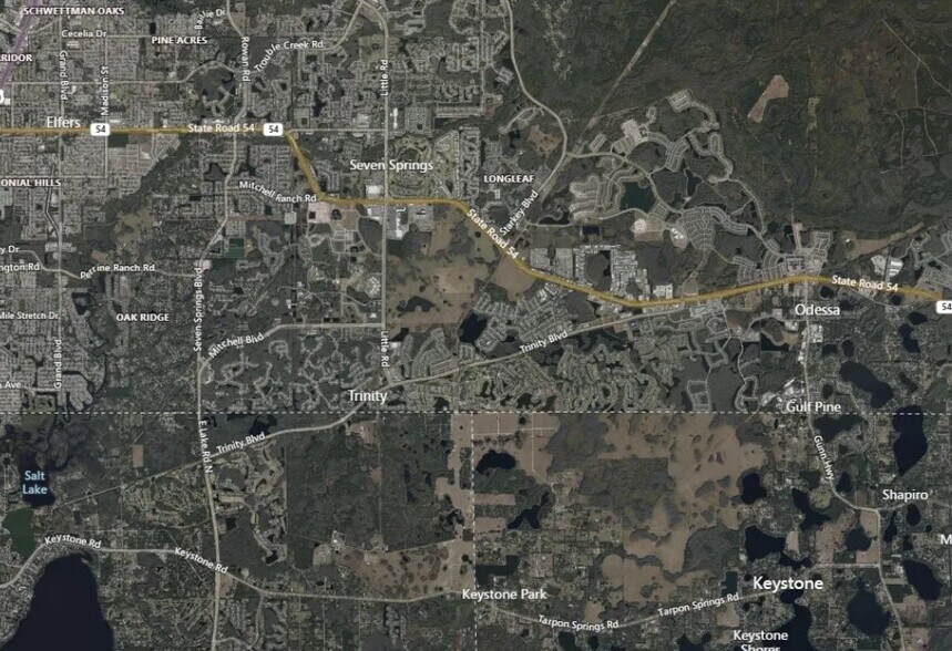 2939 Defuniak St, New Port Richey, FL à vendre - Photo du bâtiment - Image 2 de 4