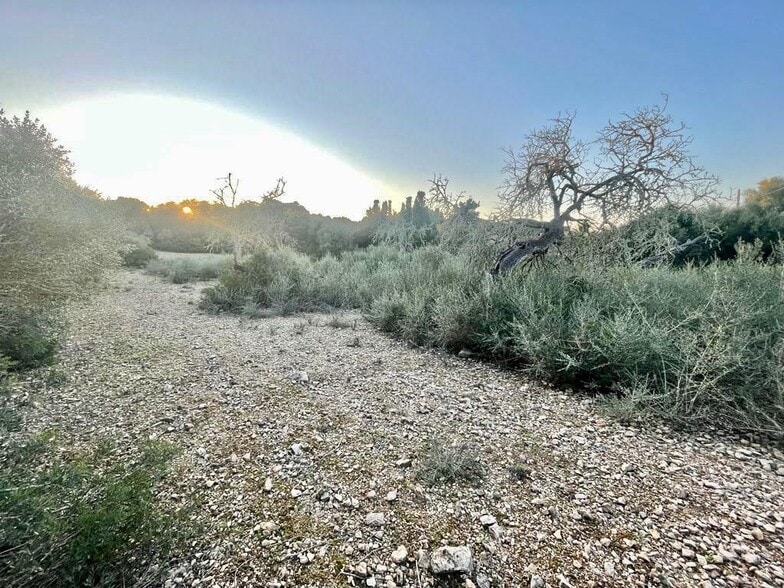 Land in Manacor, Islas Baleares for sale - Site Plan - Image 3 of 5