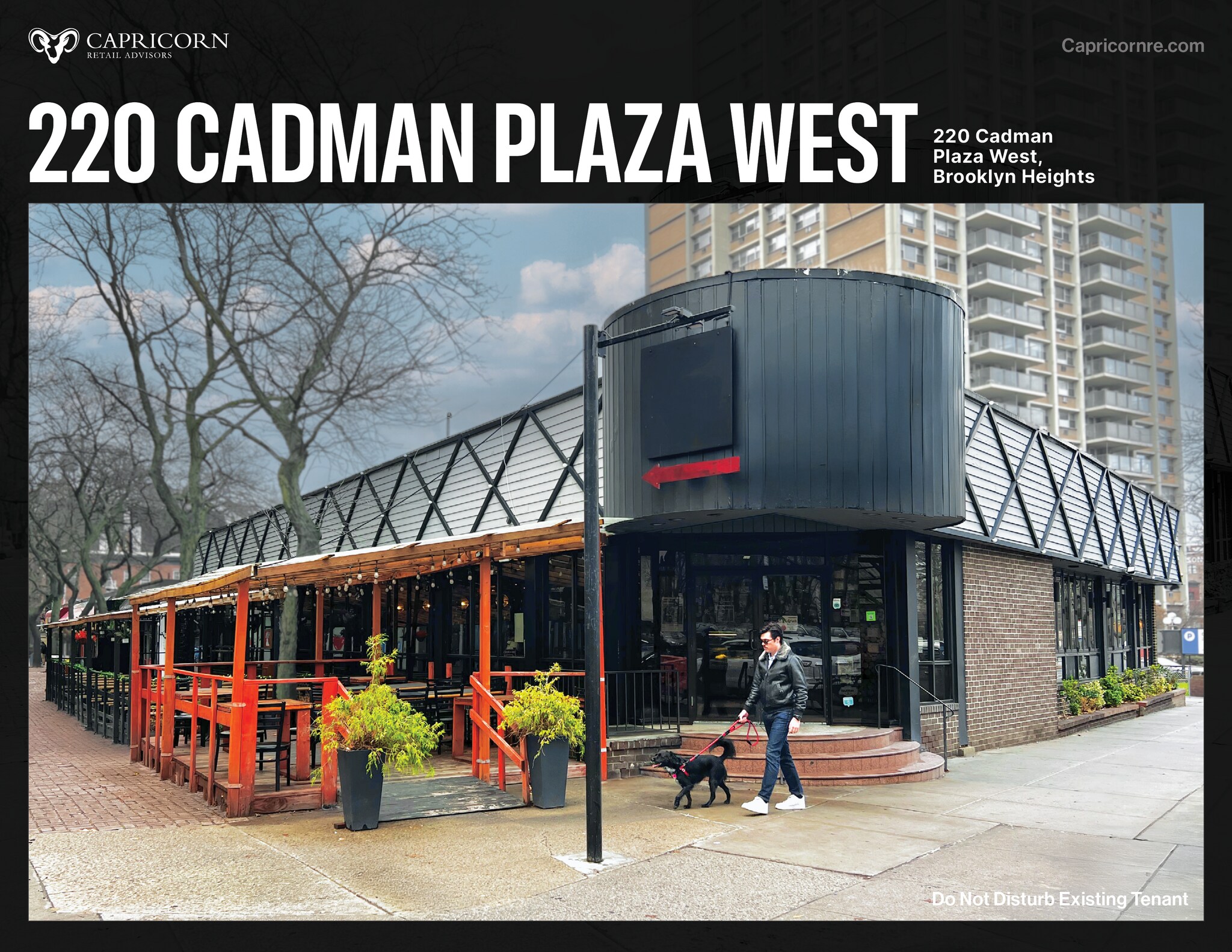 220 Cadman Plz W, Brooklyn, NY for lease Building Photo- Image 1 of 8