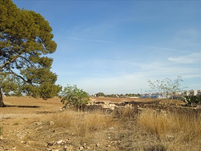 Ua U, Ua Uag, 6, Murcia, Murcia for lease - Building Photo - Image 2 of 17