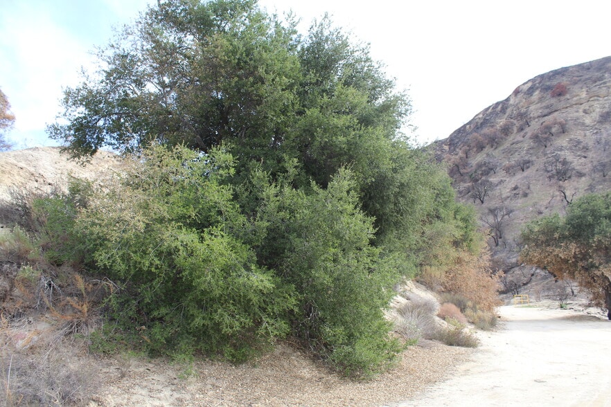 31029 Hasley Canyon Rd, Castaic, CA for sale - Building Photo - Image 1 of 21