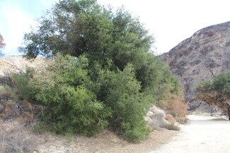 Plus de détails pour 31029 Hasley Canyon Rd, Castaic, CA - Terrain à vendre