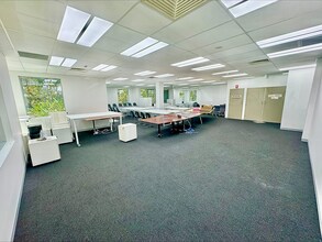 13A Narabang Way, BELROSE for lease Interior Photo- Image 2 of 5