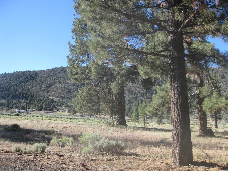 2824 Erwin Ranch Rd, Big Bear City, CA à vendre - Photo du bâtiment - Image 2 de 2
