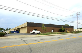 Plus de détails pour 1100 E 222nd St, Euclid, OH - Flex, Industriel à louer