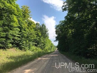 More details for TBD Rock River Rd, Deerton, MI - Land for Sale