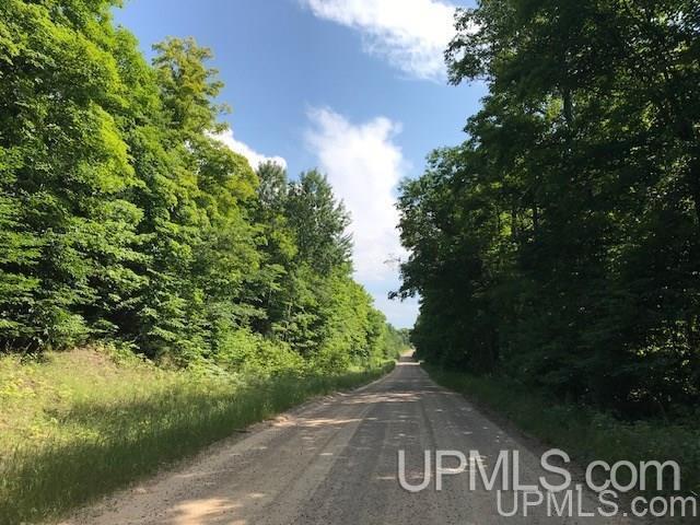 TBD Rock River Rd, Deerton, MI for sale Primary Photo- Image 1 of 9