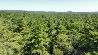 Plus de détails pour 0 Poor Town Road, Pembroke, NH - Terrain à vendre