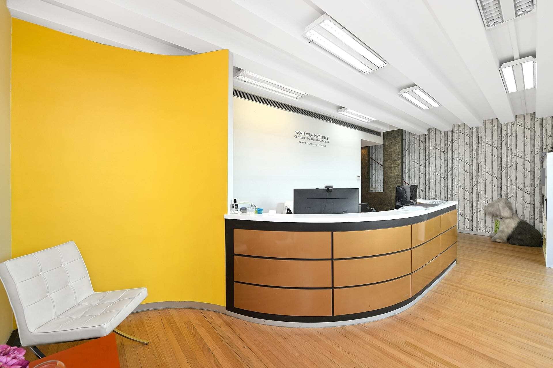 85 Bourke Rd, Alexandria à louer Photo intérieure- Image 1 de 3