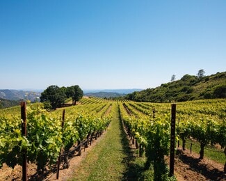 More details for 14335 Sonoma Highway 12, Glen Ellen, CA - Specialty for Sale