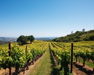 Plus de détails pour 14335 Sonoma Highway 12, Glen Ellen, CA - Spécialité à vendre