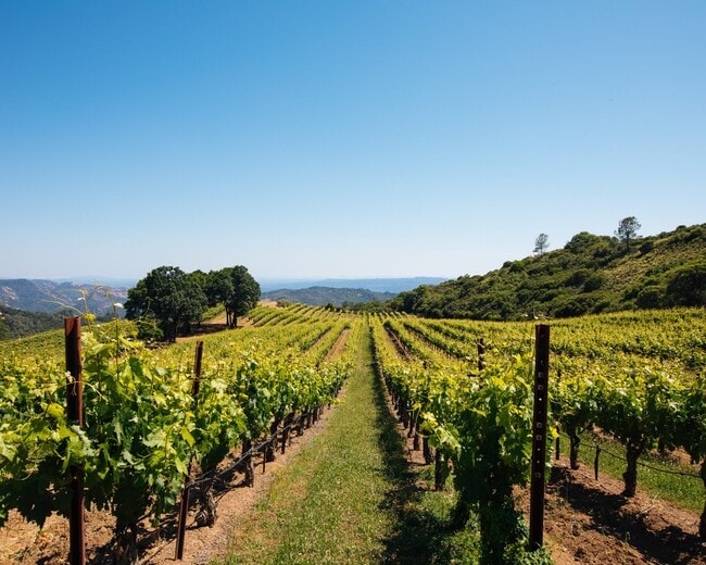 Plus de détails pour 14335 Sonoma Highway 12, Glen Ellen, CA - Spécialité à vendre