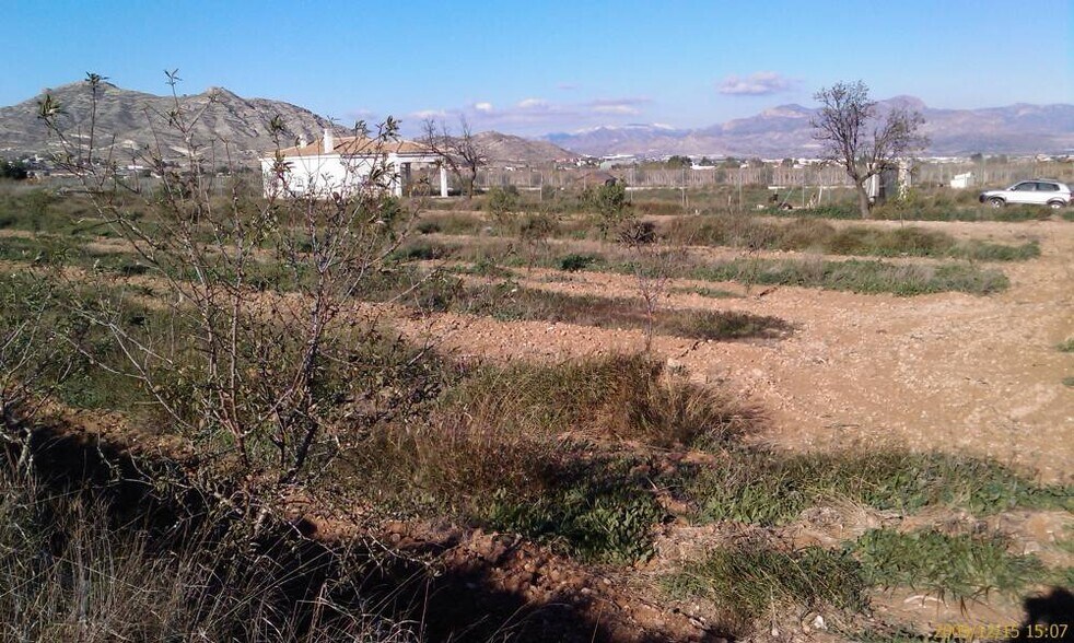 Land in Aspe, Alicante for sale - Site Plan - Image 2 of 5