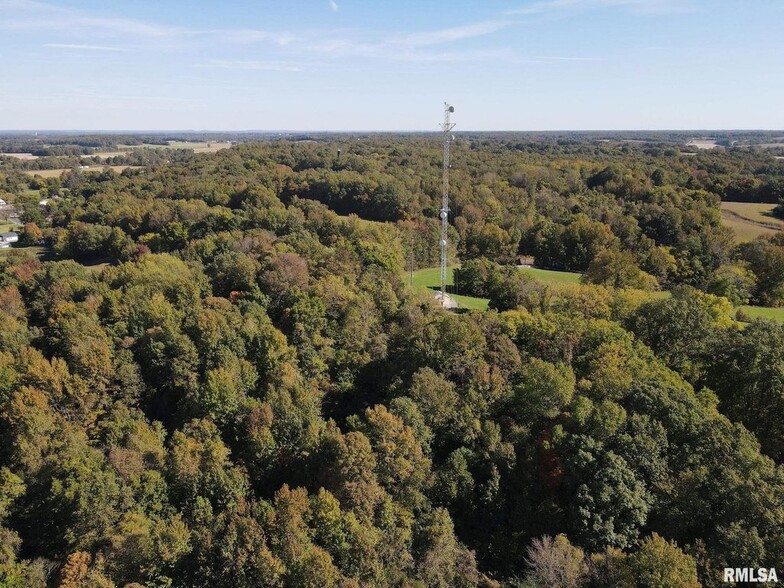 000 SANDUSKY Rd, Pulaski, IL for sale - Aerial - Image 1 of 1