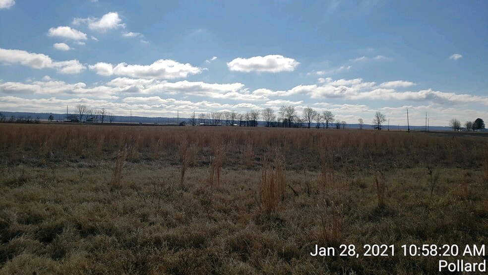 74 County Road 325, Pollard, AR for sale - Primary Photo - Image 1 of 9