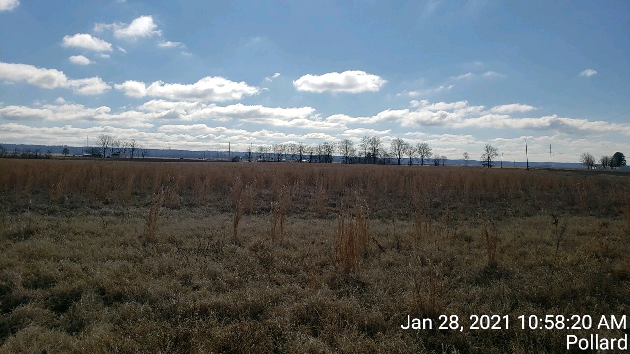 74 County Road 325, Pollard, AR à vendre Photo principale- Image 1 de 10