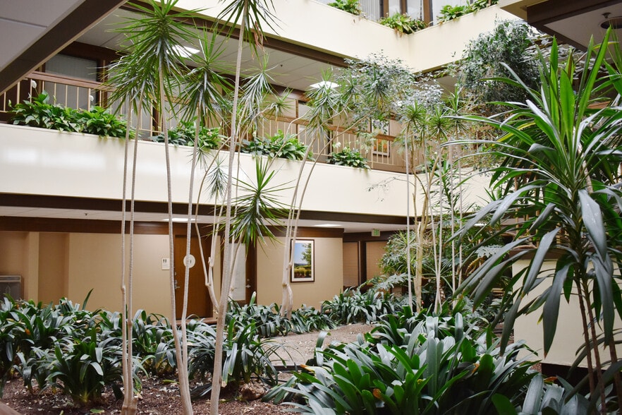 1111 Sonoma Ave, Santa Rosa, CA for lease - Interior Photo - Image 2 of 7