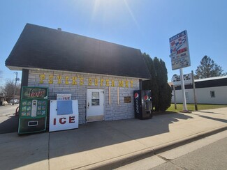 Plus de détails pour 153 Main St, Bowlus, MN - Vente au détail à vendre