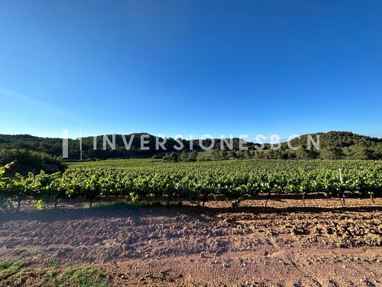 Terrain dans Vimbodí i Poblet, Tarragona à vendre - Autre - Image 2 de 8