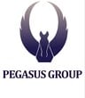 Pegasus Group