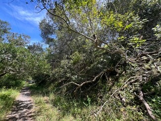 More details for Marburger Ave, Belmont, CA - Land for Sale