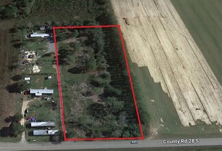 Plus de détails pour 15372 County Road 28 S, Foley, AL - Terrain à vendre