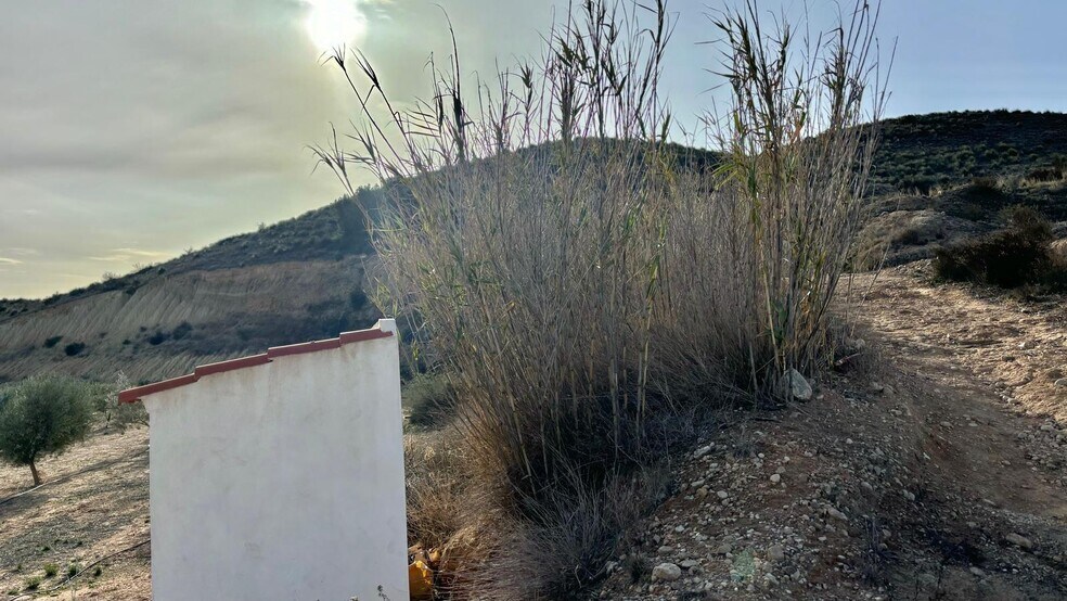 Terrain dans Aspe, Alicante à vendre - Photo du bâtiment - Image 3 de 17