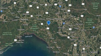 Plus de détails pour Alton Wentworth Rd, Greenville, FL - Terrain à vendre