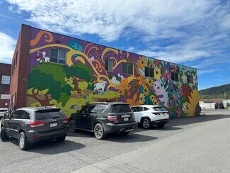 Plus de détails pour 402 Church St, Summersville, WV - Commerce de détail à vendre