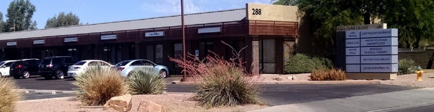 288/264 N Ironwood Dr, Apache Junction, AZ for lease - Building Photo - Image 1 of 5